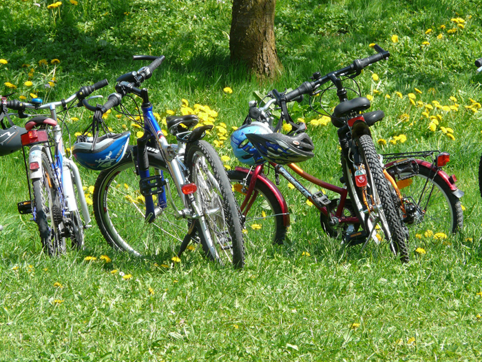 Bike hire Forest of Dean